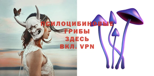 spice Абаза